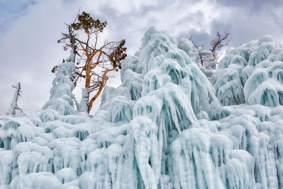  Arbres couverts de glace sur la rive du lac Baïkal