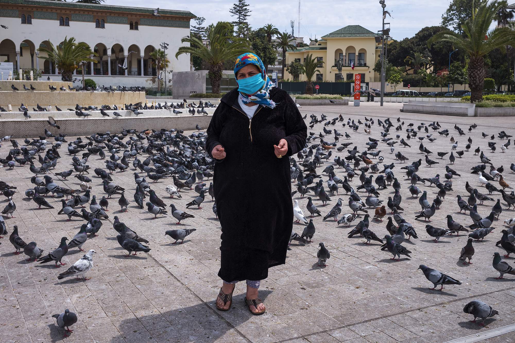 Casablancaise nourrissant les pigeons